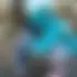 Mehdi