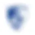 Grenoble Foot 38