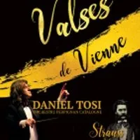Valses De Vienne