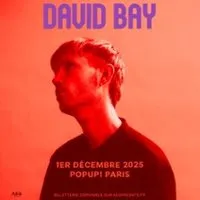 David Bay