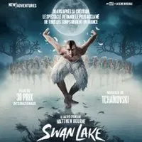 Swan Lake