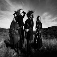 TRIO ZEPHYR