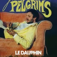 Jules Pelgrims