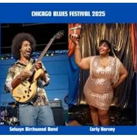 Chicago Blues Festival