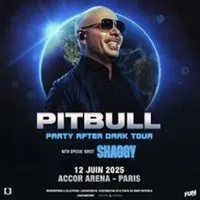 Pitbull - Party After Dark