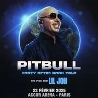 Pitbull - Accor Arena - Paris Bercy - 12/06/2025